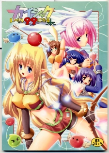 [Kaishaku] Kaishaku Level 99 ni Naru Hon (Ragnarok Online) - page 2