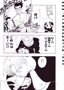 [Shouji Hariko] ZZ (Dragonball Z) - page 27
