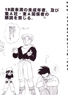 [Shouji Hariko] ZZ (Dragonball Z) - page 3