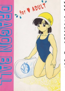 [Shouji Hariko] ZZ (Dragonball Z) - page 43