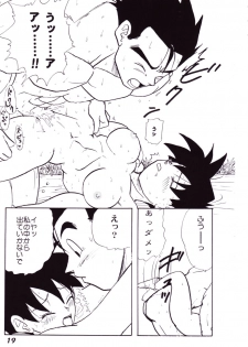 (C52) [Fusuma Goten (Shouji Hariko)] Irohani (Dragonball Z) - page 19