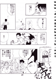 (C52) [Fusuma Goten (Shouji Hariko)] Irohani (Dragonball Z) - page 20