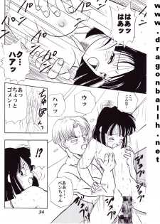 (C52) [Fusuma Goten (Shouji Hariko)] Irohani (Dragonball Z) - page 34