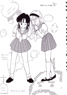 (C52) [Fusuma Goten (Shouji Hariko)] Irohani (Dragonball Z) - page 23