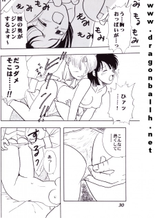(C52) [Fusuma Goten (Shouji Hariko)] Irohani (Dragonball Z) - page 30