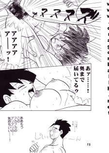(C52) [Fusuma Goten (Shouji Hariko)] Irohani (Dragonball Z) - page 15