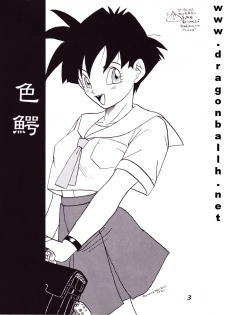 (C52) [Fusuma Goten (Shouji Hariko)] Irohani (Dragonball Z) - page 3
