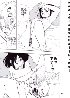 (C52) [Fusuma Goten (Shouji Hariko)] Irohani (Dragonball Z) - page 31