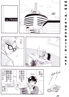 (C52) [Fusuma Goten (Shouji Hariko)] Irohani (Dragonball Z) - page 24