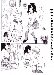 [Shouji Haruzo] Dragon Ball Z - Wakayo - page 23