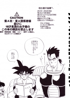 [Shouji Haruzo] Dragon Ball Z - Wakayo - page 4