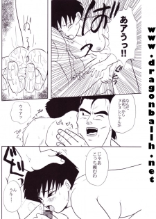 [Shouji Haruzo] Dragon Ball Z - Wakayo - page 37