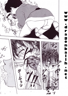 [Shouji Haruzo] Dragon Ball Z - Wakayo - page 12