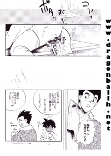 [Shouji Haruzo] Dragon Ball Z - Wakayo - page 21