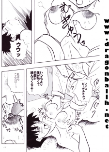 [Shouji Haruzo] Dragon Ball Z - Wakayo - page 17