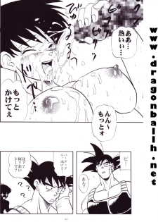[Shouji Haruzo] Dragon Ball Z - Wakayo - page 47