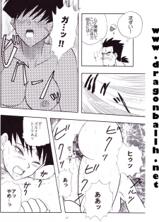 [Shouji Haruzo] Dragon Ball Z - Wakayo - page 39