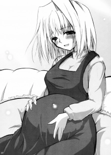 (C66) [Garyuu-Chitai (TANA)] Love Maniac Love (Tsukihime) - page 26