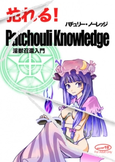 Yareru! Patchouli knowledge