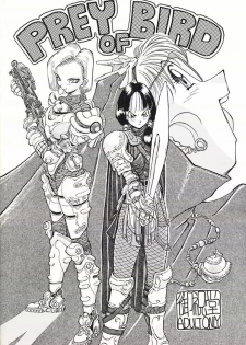 [Oiwaidou] PREY OF BIRD (Dragon Ball) - page 1
