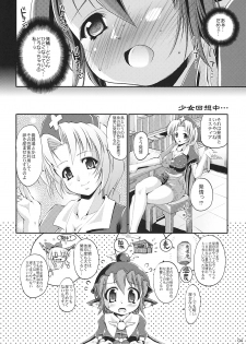 (C77) [Albatross (Nikusyo, Mei)] Yosuzume Hatsujou (Touhou Project) - page 4