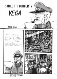 (C76) [Motsu Ryouri (Motsu)] Kaku Musume 11 (Street Fighter IV) - page 22