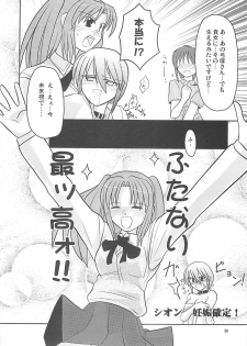 [A-ZONE Seisaku Iinkai (Various)] A-ZONE e Youkoso! 2 (Fate/stay night) - page 33