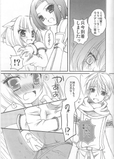 (C73) [chaotic_prism (Asato)] Fuusui Inoshishi (Final Fantasy XI) - page 14