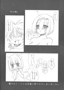 (C73) [chaotic_prism (Asato)] Fuusui Inoshishi (Final Fantasy XI) - page 27