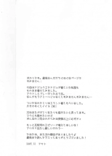 (C73) [chaotic_prism (Asato)] Fuusui Inoshishi (Final Fantasy XI) - page 28