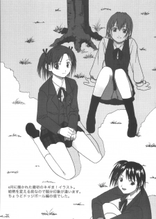 (C65) [LUNATIC PROPHET (Arimura Yuu)] 21st Century Schizoid Girls (Mahou Sensei Negima!) - page 31