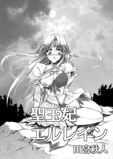 聖王妃 エルレイン（田宮秋人）   Princess St - page 3