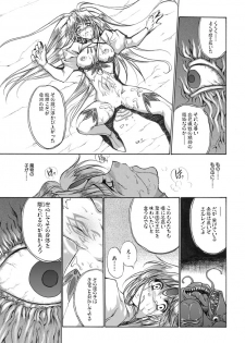 聖王妃 エルレイン（田宮秋人）   Princess St - page 12