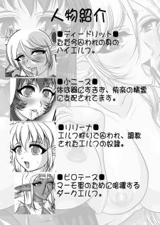[SLW (Q1)] Aidorei  Elf Senki 2 (Record of Lodoss War) [Digital] - page 3