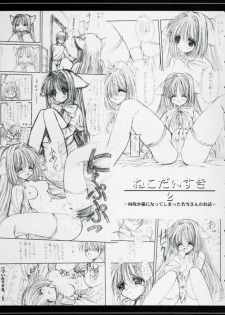 [Asyuraya (Kushida Ashura)] Nekonekohotto 2 EX (Kanon,Utawarerumono) - page 2