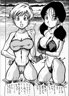 [Takimoto Dojo (Kyuusho Tarou)] Meisou Oyako Natsu (Dragonball) - page 15