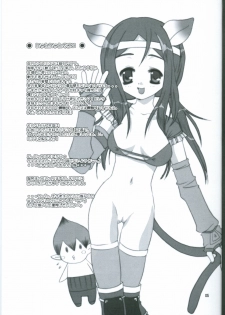 (C64) [AZA+ (Yoshimune Mahina)] Mithra ko Mithra (Final Fantasy XI) - page 4