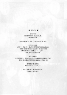 (C77) [Kamogawaya (Kamogawa Tanuki)] Nineteens? (Mahou Shoujo Lyrical Nanoha)[ENG] - page 3