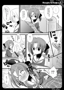 (C75) [Nagiyamasugi (Nagiyama)] Hinagiku no Himitsu 3 (Hayate no Gotoku!) - page 3