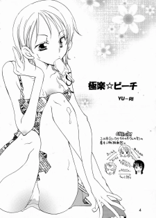 (C64) [KURIONE-SHA (YU-RI)] Shiawase Punch! 5 (One Piece) - page 3