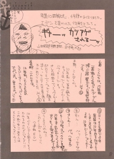 (C62) [GUY-YA (Hirano Kouta)] UFO 2000 (One Piece) - page 17