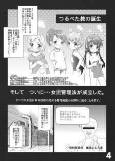 (C74) [Tsurupeta (Various)] Tsurupeta Kenkyuu Houkokusho Kakyuu Sentou In no Isshou - Turupeta Research Report - page 3