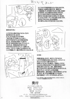 (C73) [Raiden Labo (Raiden)] Pad no Tadashii Tsukaikata, (Touhou Project) - page 26