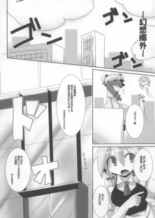 (C73) [Raiden Labo (Raiden)] Pad no Tadashii Tsukaikata, (Touhou Project) - page 8