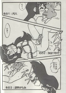 (SC22) [H-Sketch (ODA)] Sasamisa Ver.34 (Mahou Shoujo Pretty Sammy) - page 9