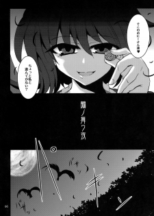 (C77) [MegaSoundOrchestra (Sanwaribiki)] Nue no Mau Yoru (Touhou Project) - page 5