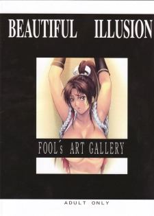 [Fool's Art Gallery (Homare)] Beautiful Illusion 03 (KOF Street Fighter Various Games) - page 2