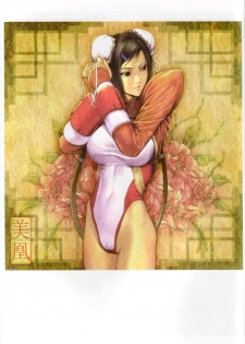[Fool's Art Gallery (Homare)] Beautiful Illusion 03 (KOF Street Fighter Various Games) - page 16