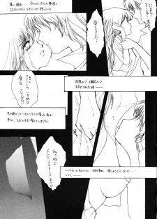 [HIGH RISK REVOLUTION (Aizawa Hiroshi)] Clono Soldier -Mei- (Bishoujo Senshi Sailor Moon) - page 18