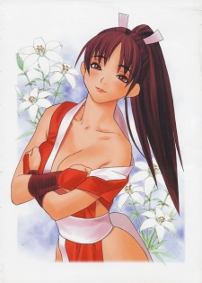 [Harimaya ; Kacchuu Musume (Ouma Bunshichirou)] Shunkashuutou 2 (King of Fighters) - page 3